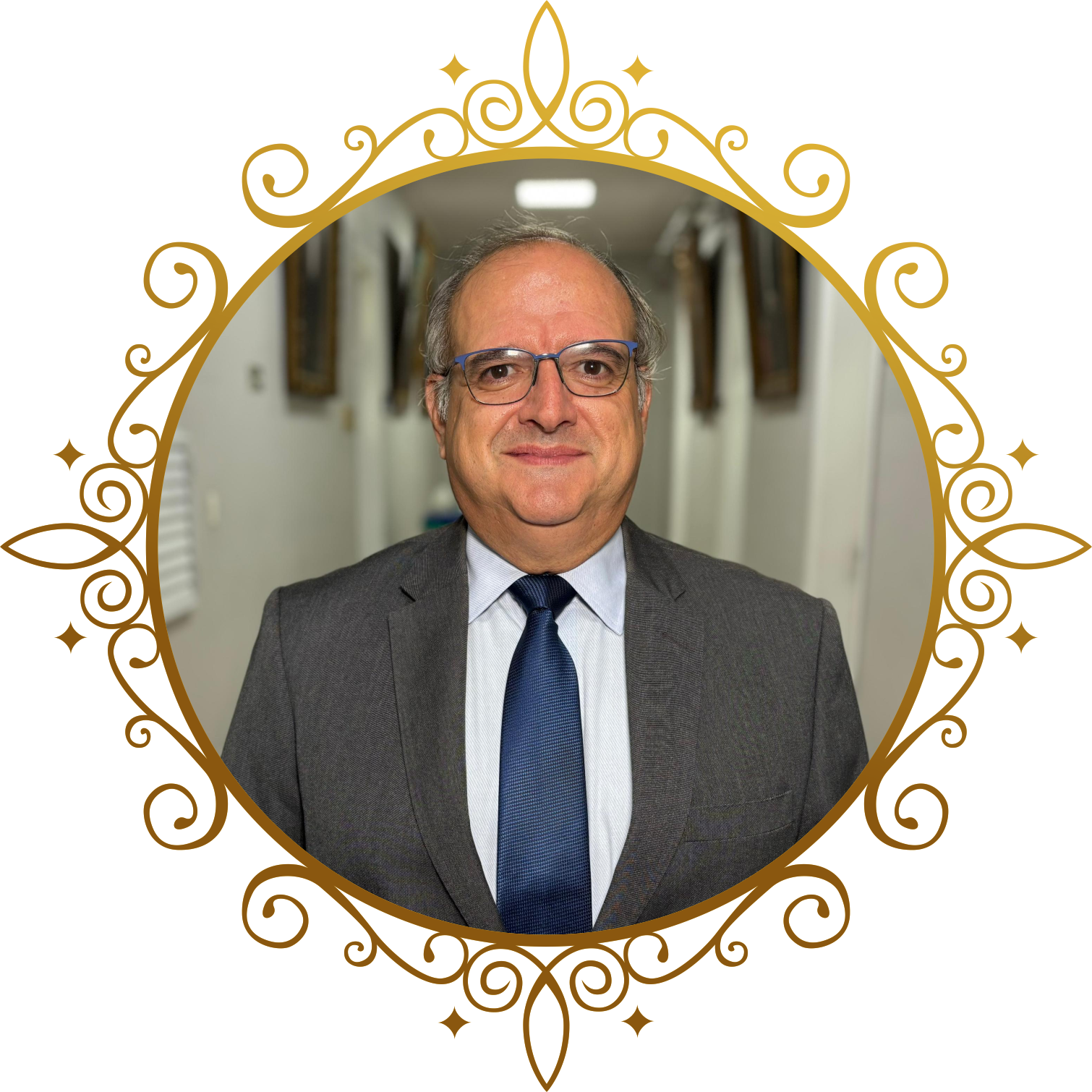 André Galocha Medeiros André Galocha Medeiros